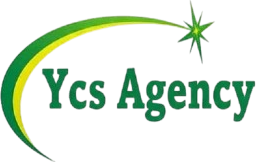 unnamed-removebg-preview